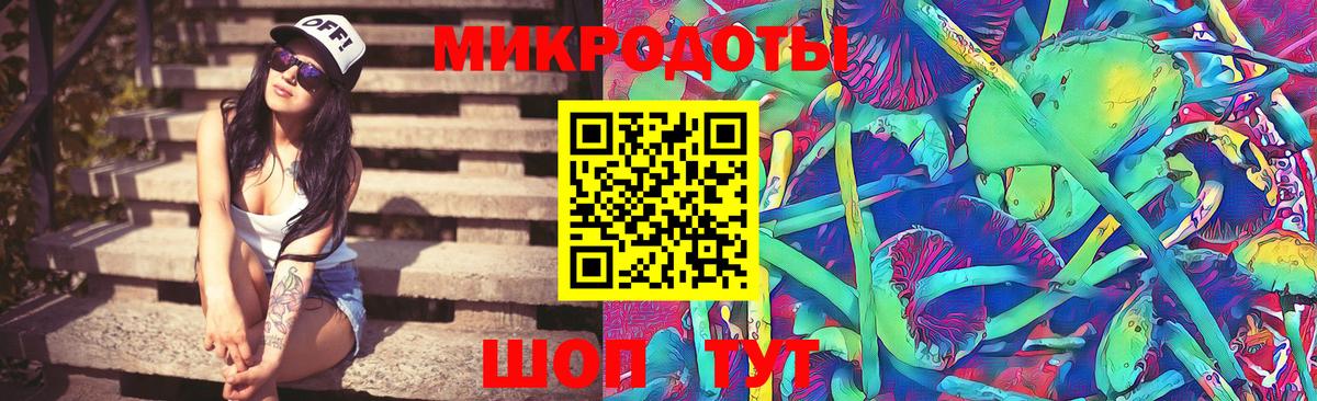 Псилоцибиновые грибы Psilocybine cubensis Майкоп
