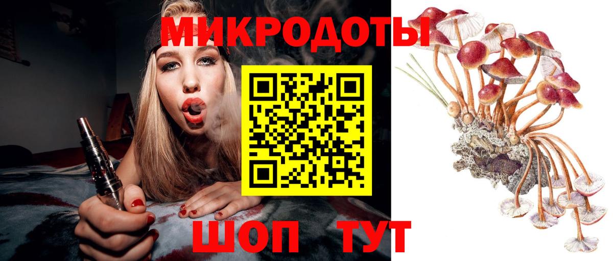 Майкоп  наркотики  Галлюциногенные грибы MAGIC MUSHROOMS  Вход с VPN  Псилоцибиновые грибы мицелий 